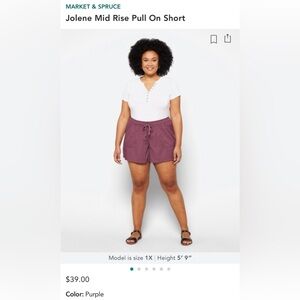 Market & Spruce Purple Draw String Shorts